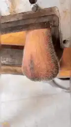 sausage being sliced by machine