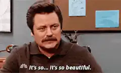 Ron Swanson It's So Beautiful