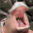 Pink Blob Monster Yawning