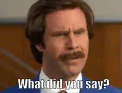 Ron Burgundy What Did You Say