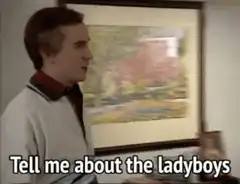 Tell me about the ladyboys