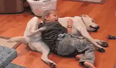 boy hugging dog on floor