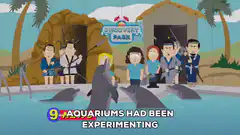 Discovery Park dolphins attacked