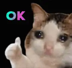 OK Cat Meme