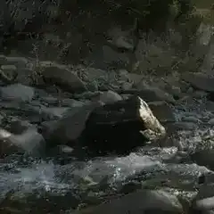 water flowing over rocks in a stream