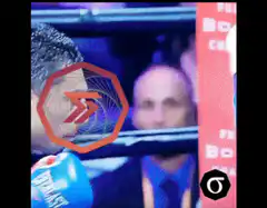 Boxing match with absurd cex listing fees text
