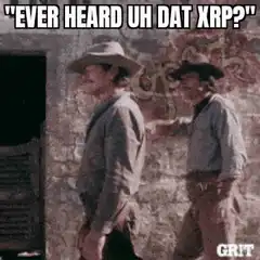 Grit Bitcoin You Idiot Meme