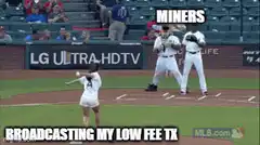 Baseball girl pitching miners