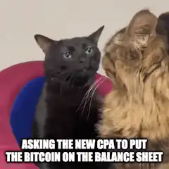 Black Cat Asking New CPA Bitcoin Balance Sheet