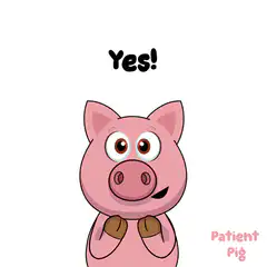 Excited pig saying yes