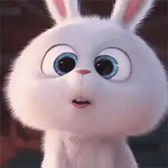 Snowball the bunny wide-eyed