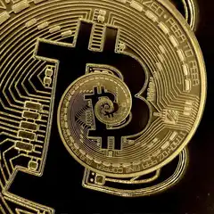 Golden Bitcoin Coin with Circuit Board Design