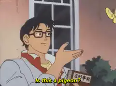 Is this a pigeon anime meme