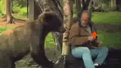 Bear slaps man eating