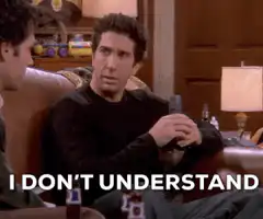 Ross Geller I Don't Understand What Just Happened Here