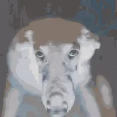 Pixelated dog face glitch animation