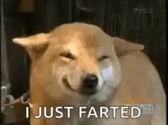 I Just Farted Dog