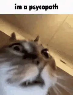 cat im a psychopath