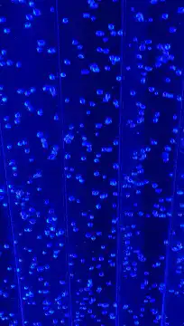 Blue fiber optic lights