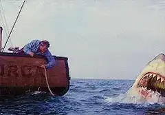Man in boat with shark