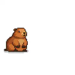 Pixel Bear Protocols Over Platforms