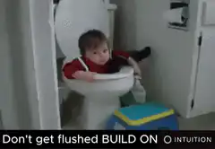 Baby sitting in toilet
