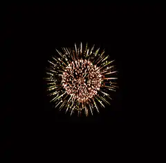 Golden Firework Burst
