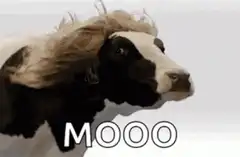 Cow with blonde hair saying MOOO