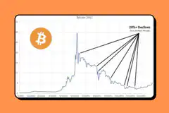 Bitcoin 2011 price chart with 20%+ declines