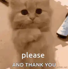 Please and thank you cat