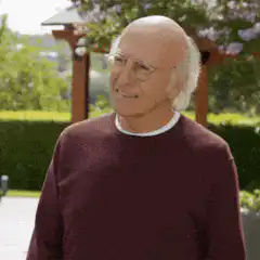 Larry David Ehhh