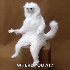 Fluffy white cat puppet where you at