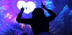 Silhouette dancing at concert