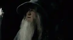 Dumbledore says he has no memory