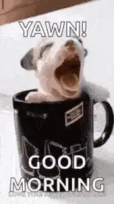 Puppy yawning in a mug