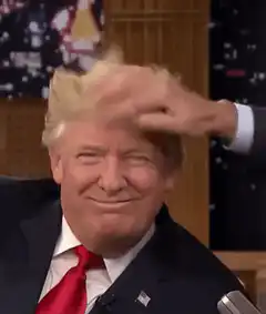 Donald Trump hair pat
