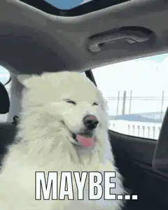 Smiling Dog Maybe GIF