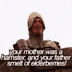 Monty Python Knight Insult GIF