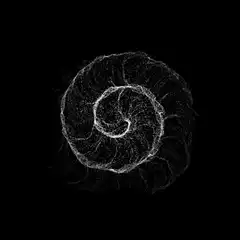 white particle spiral animation