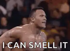 The Rock I Can Smell It