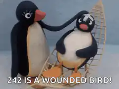 Pingu 242 is a wounded bird