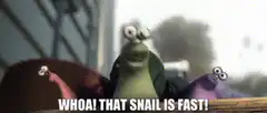 Snails shocked by fast snail