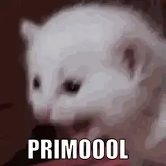 Primoool Cat Meme