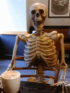 Skeleton turns around in chair