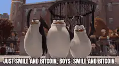 Just Smile and Bitcoin, Boys