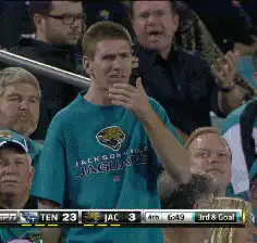 Jaguars fan nervous then relieved