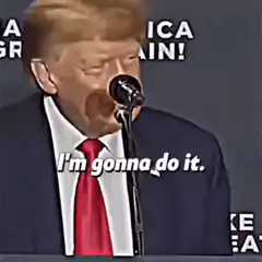 Donald Trump I'm gonna do it