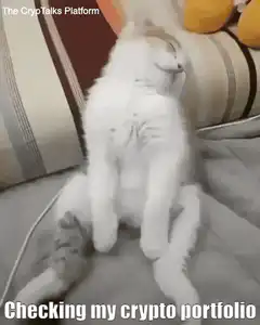 Sleeping cat wakes up to check crypto