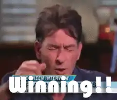 Charlie Sheen Winning