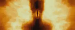 Fire angel wings